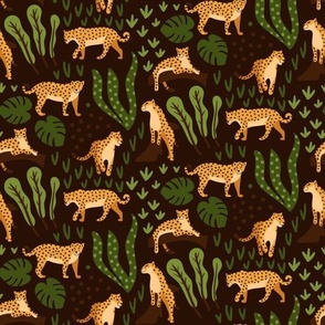 Leopard gepard jungle animal on dark brown background