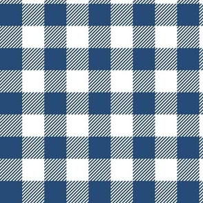 Abstract blue white gingham check plaid