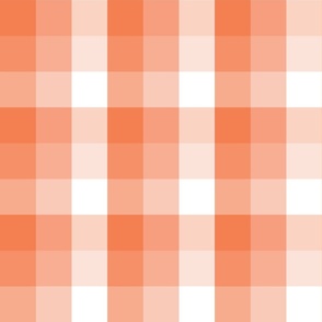 Coral_And_White_Plaid__Medium_