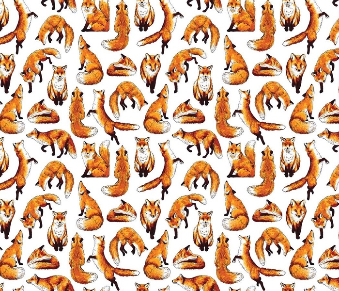 Fox-pattern-01