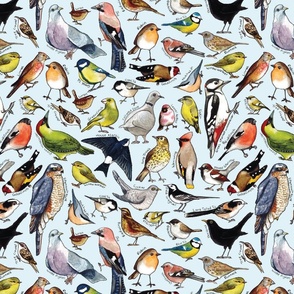 garden-birds-pattern-01