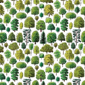 trees-pattern-01