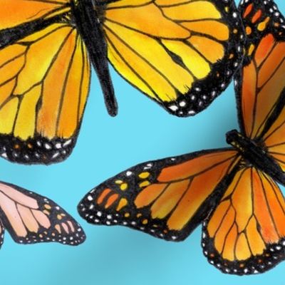 jumbo-Monarch Migration-blue summer sky