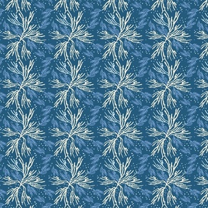 blender-seaweed-blue-s-01