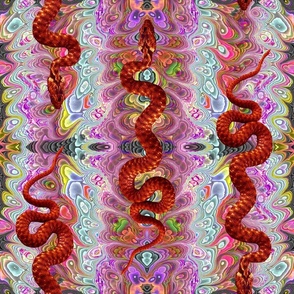 large Psychedelic hissterical snakes orange copper PSMGE