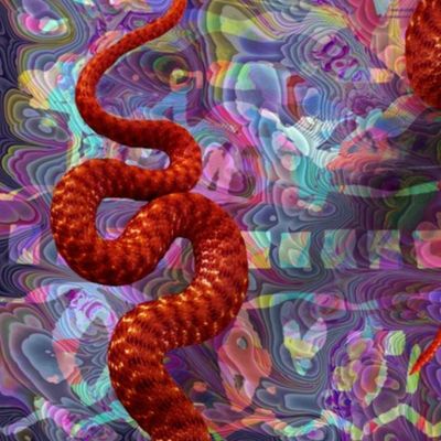 large Psychedelic hissterical snakes violet orange copper PSMGE