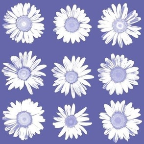 daisies on periwinkle