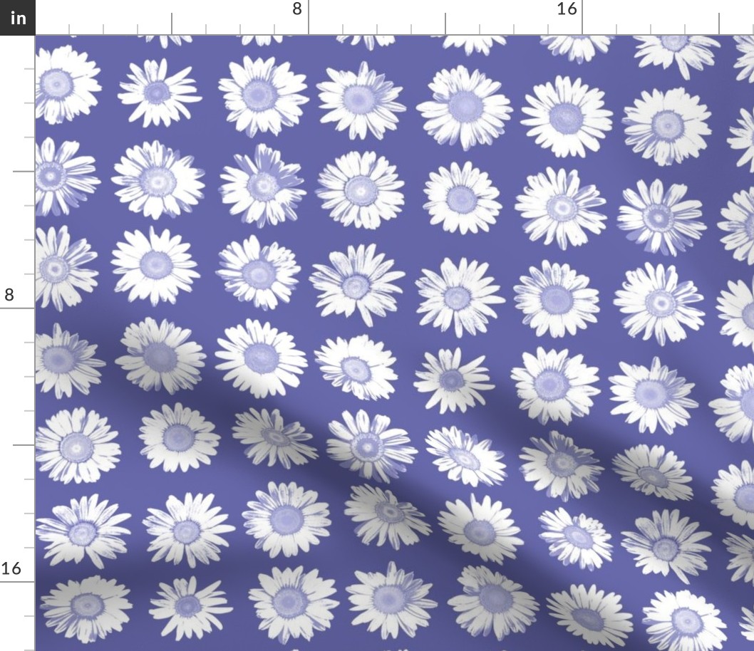 daisies on periwinkle