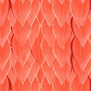 Autumn leaf pattern 