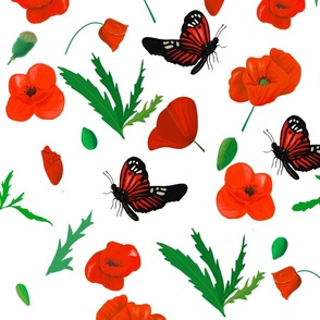 Poppies Pattern
