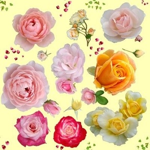 Garden Roses by Terrene Garden