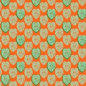 Not-so-Minimal Monstera in Mint Tangerine in Small Size