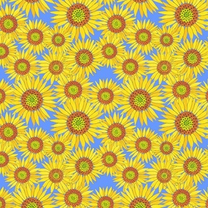 sunflowers on blue