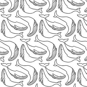 Small - Dancing_Whales_Black lines 3