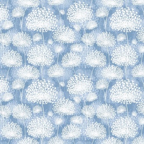  Dandelions light blue25