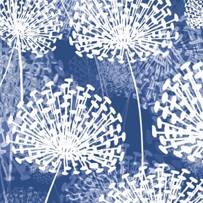 Dandelions white blue