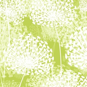 Dandelions lime