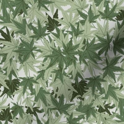 Japanese maple leaves. Green forest.  Leaf print