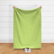 Pastel lime solid - vintage light green, soft green, honeydew, citron solid, chartreuse