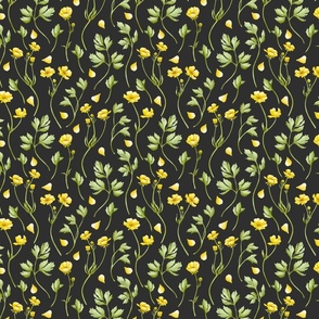 Buttercup Flower Watercolour Pattern - on Black