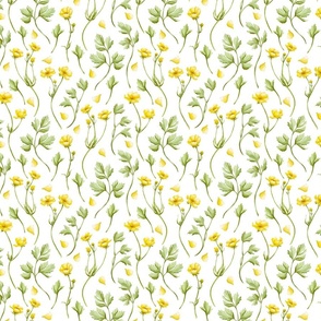 Buttercup Flower Watercolour Pattern - on White