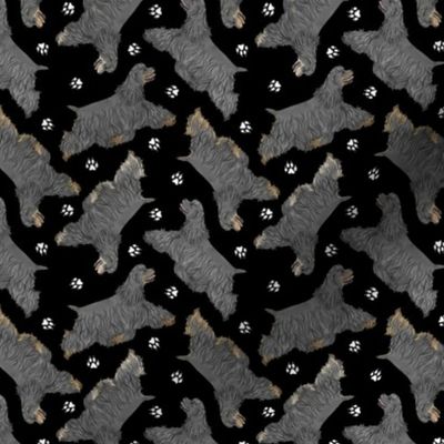 Tiny Trotting black docked Cocker Spaniels and paw prints - black