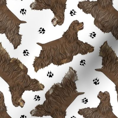 Trotting chocolate docked Cocker Spaniels and paw prints - white