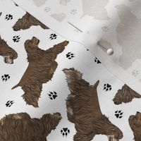 Tiny Trotting chocolate docked Cocker Spaniels and paw prints - white