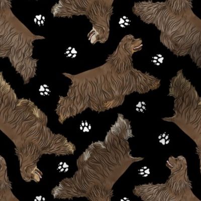 Trotting chocolate docked Cocker Spaniels and paw prints - black