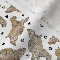 Tiny Trotting buff docked Cocker Spaniels and paw prints - white