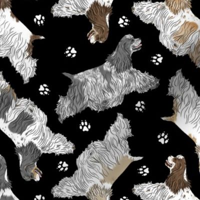 Trotting parti docked Cocker Spaniels and paw prints - black