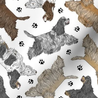 Trotting tailed Cocker Spaniels and paw prints - white