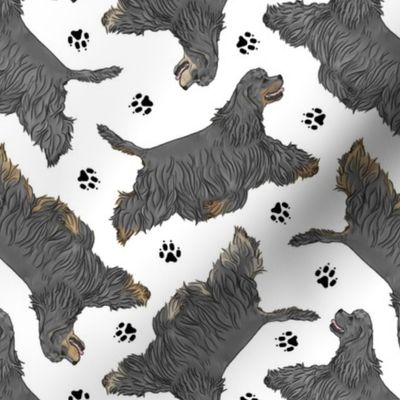 Trotting black tailed Cocker Spaniels and paw prints - white