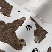 Trotting chocolate tailed Cocker Spaniels and paw prints - white