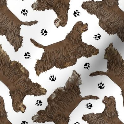 Trotting chocolate tailed Cocker Spaniels and paw prints - white