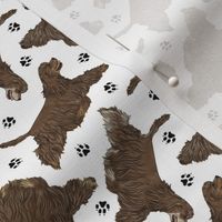 Tiny Trotting chocolate tailed Cocker Spaniels and paw prints - white