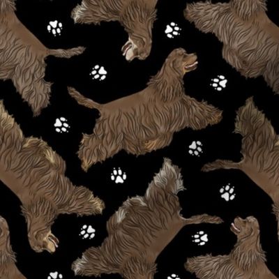Trotting chocolate tailed Cocker Spaniels and paw prints - black