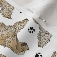 Trotting buff tailed Cocker Spaniels and paw prints - white