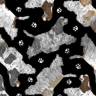 Trotting parti tailed Cocker Spaniels and paw prints - black