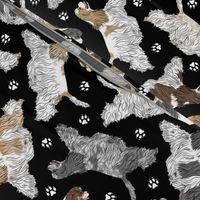 Trotting parti tailed Cocker Spaniels and paw prints - black