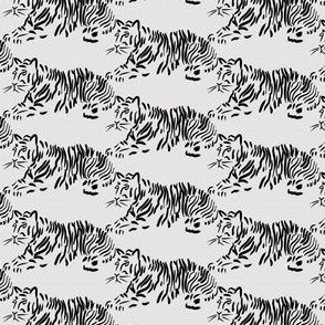 Black and White Tigress