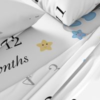 Bear Milestone Baby Boy Month Blanket