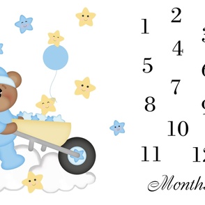 Bear Milestone Baby Boy Month Blanket