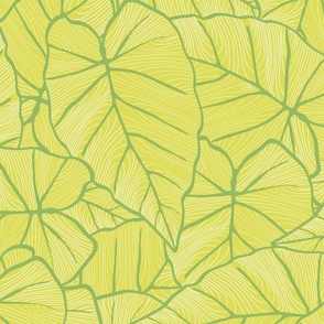 Yellow and green large tropical Caladium leaves - graphical line art - large scale 