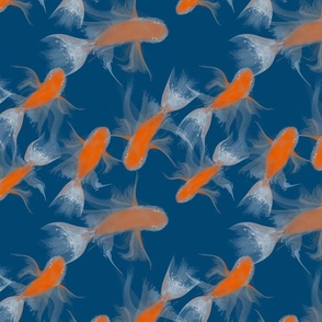 Fishes Swimming Dark blue
