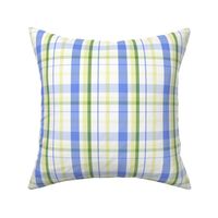 Lilac Blue Green Buttercup Plaid