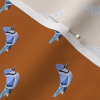 Blue Jays Quilting - on Ochre Orange
