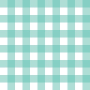 Bright Turquoise Gingham_MED