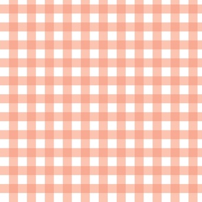 Bright Pink Gingham_SMALL