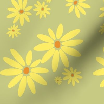 Yellow Daisy